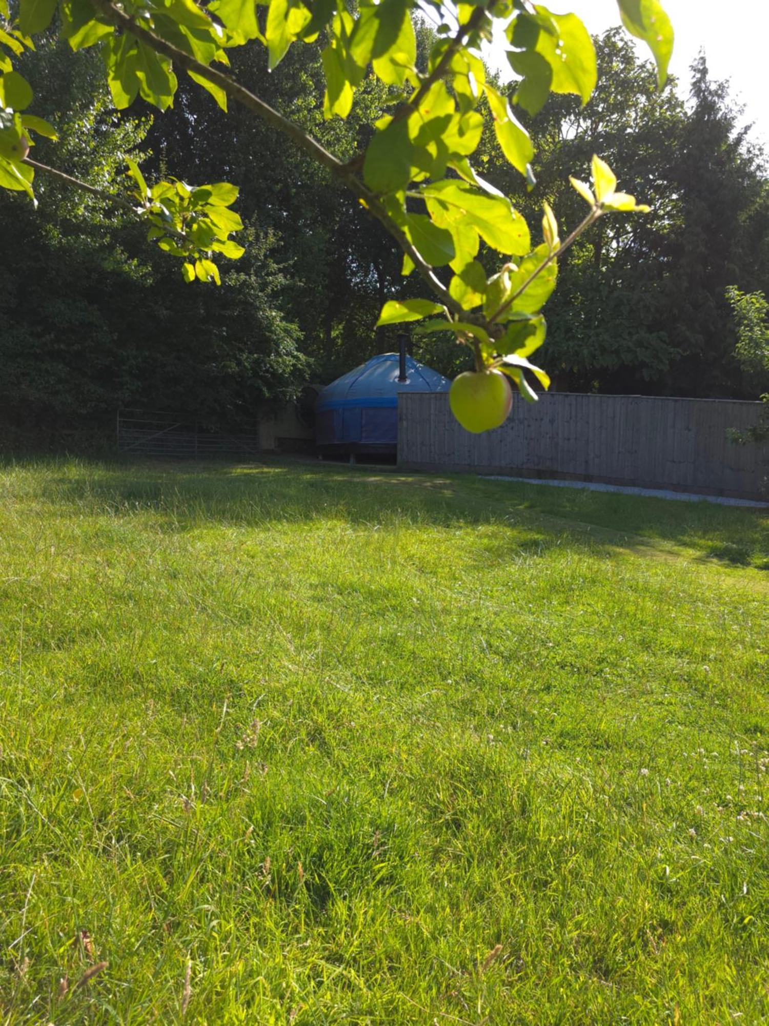 ווסטון סופר מארה Orchard View Yurt & Hot Tub Somerset מראה חיצוני תמונה
